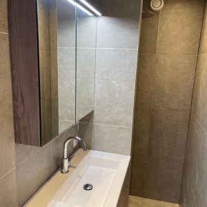Badkamer en toilet renovatie Deventer