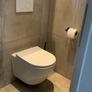 Toilet renovatie Wapenveld